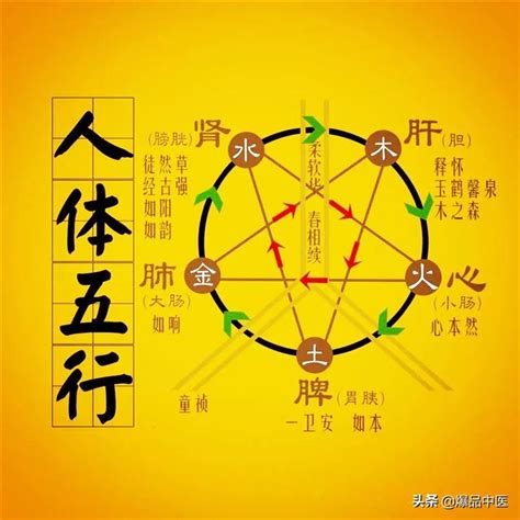 媛的五行|【媛的五行】揭開「媛」的五行之謎！一文瞭解媛字的五行屬性